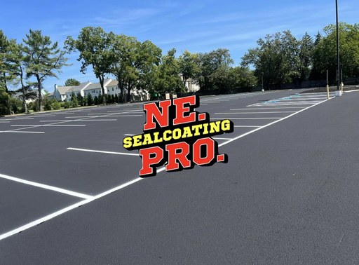 NE SEALCOATING PRO LLC. logo